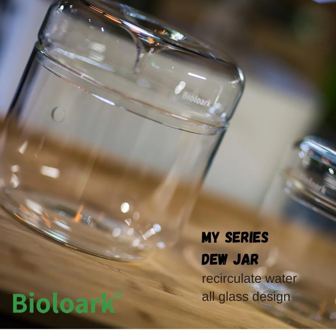 BIOLOARK Dew Glass Cup (Micro Terrarium) MY Series