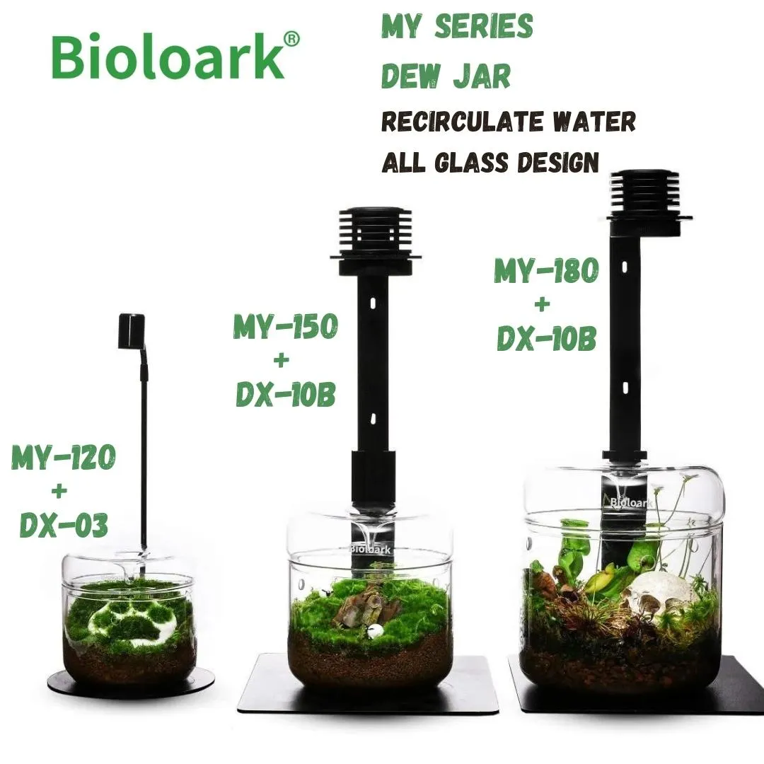 BIOLOARK Dew Glass Cup (Micro Terrarium) MY Series