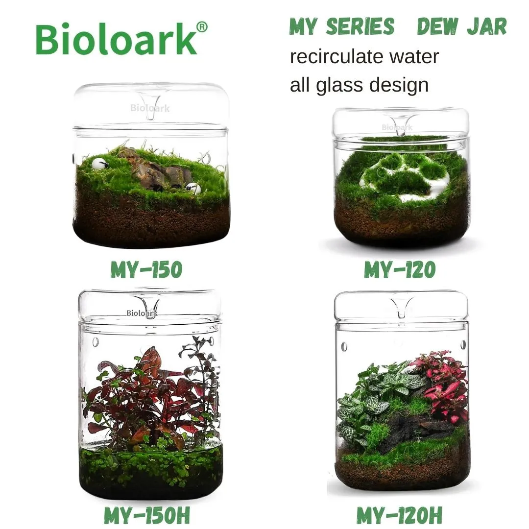 BIOLOARK Dew Glass Cup (Micro Terrarium) MY Series