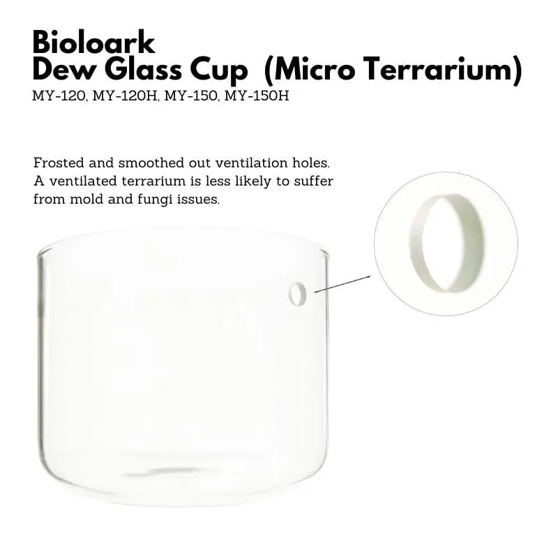 BIOLOARK Dew Glass Cup (Micro Terrarium) MY Series