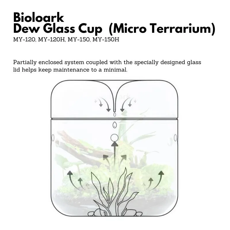 BIOLOARK Dew Glass Cup (Micro Terrarium) MY Series