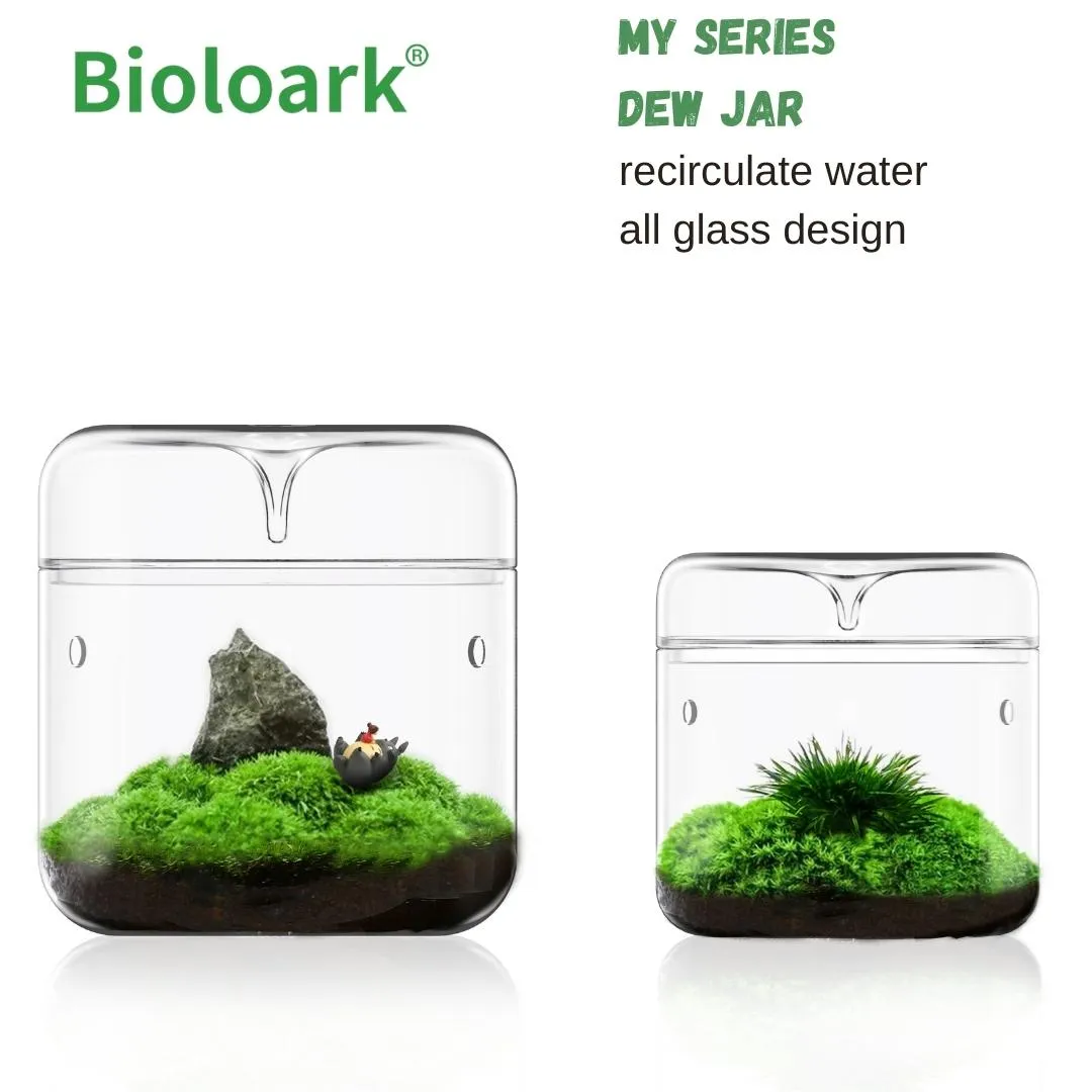 BIOLOARK Dew Glass Cup (Micro Terrarium) MY Series