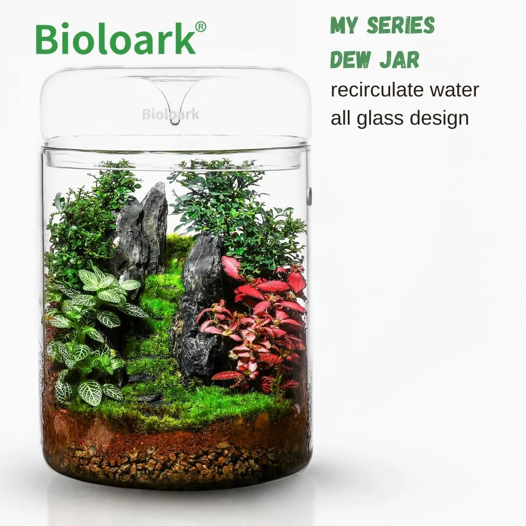 BIOLOARK Dew Glass Cup (Micro Terrarium) MY Series