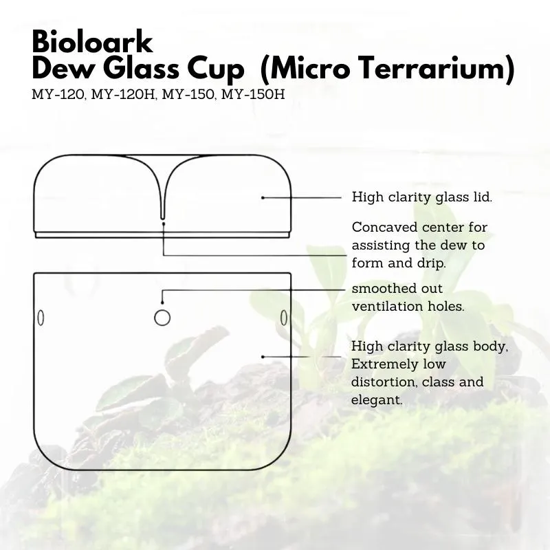 BIOLOARK Dew Glass Cup (Micro Terrarium) MY Series