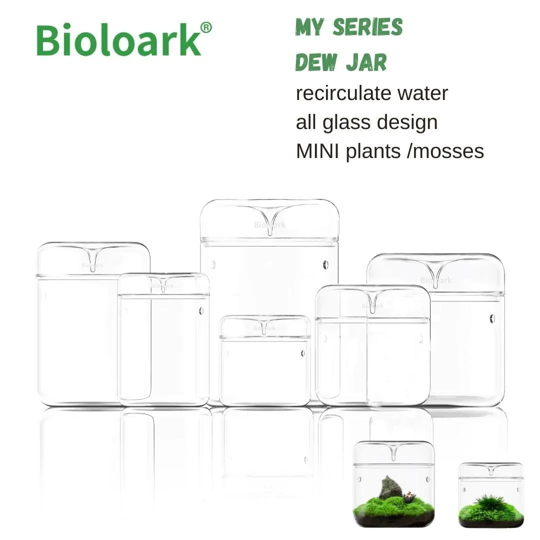 BIOLOARK Dew Glass Cup (Micro Terrarium) MY Series