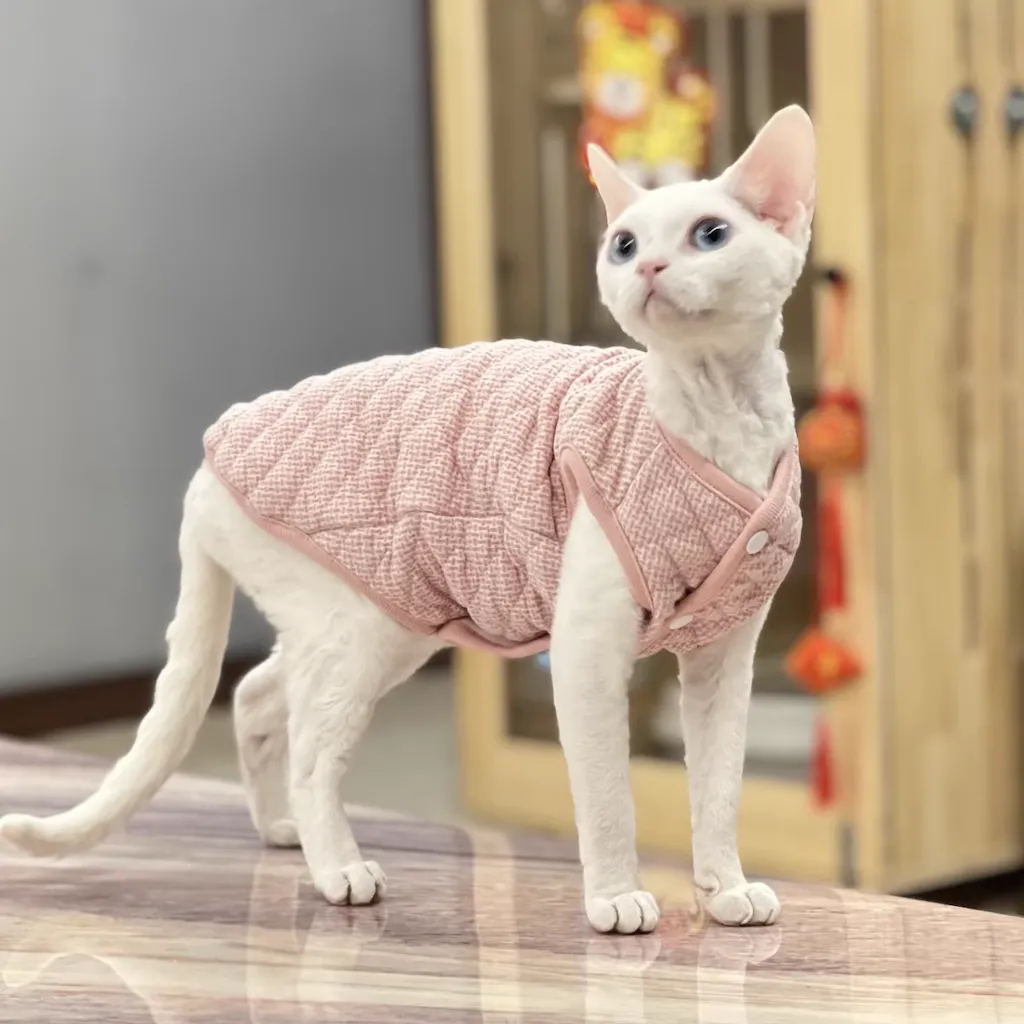 Diamond Quilted Vest Sphynx Cat Jacket